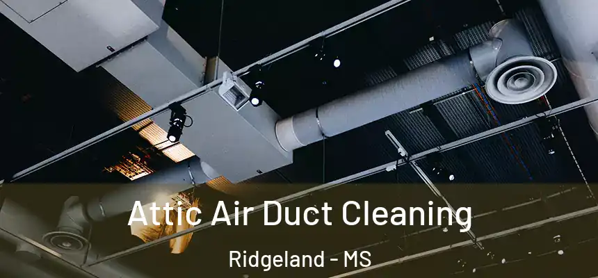  Attic Air Duct Cleaning Ridgeland - MS