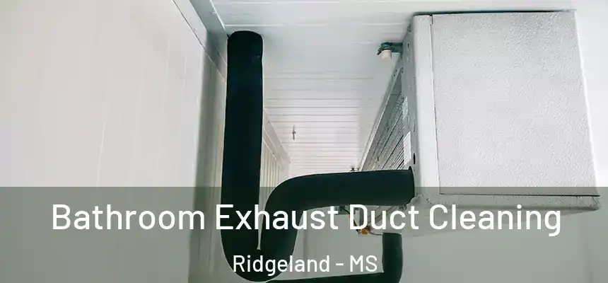  Bathroom Exhaust Duct Cleaning Ridgeland - MS