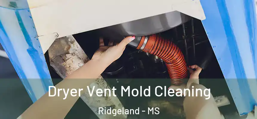  Dryer Vent Mold Cleaning Ridgeland - MS
