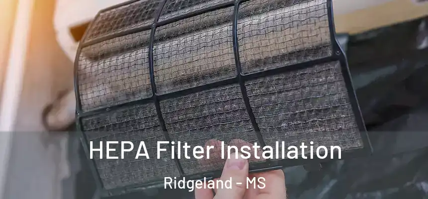  HEPA Filter Installation Ridgeland - MS