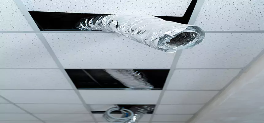 Our Air Duct Pet Hair Removal Services in Ridgeland, MS