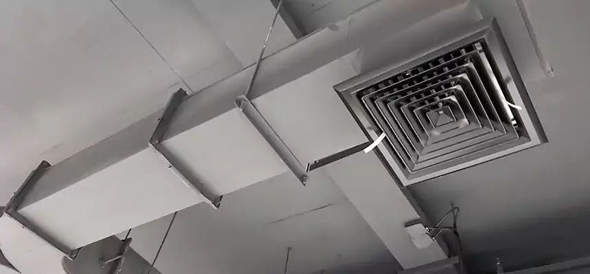 Restorative Allergy Relief Vent Cleaning – Coil, Blower & Housing Detail in Ridgeland