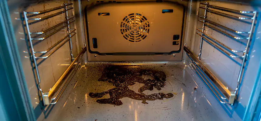 Our Dryer Vent Mold Cleaning Services in Ridgeland, MS