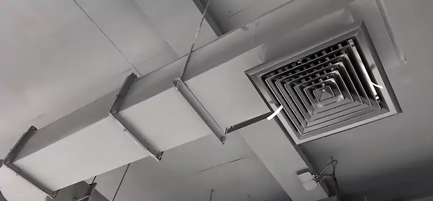 Our Pest Removal From Ducts Services in Ridgeland, MS