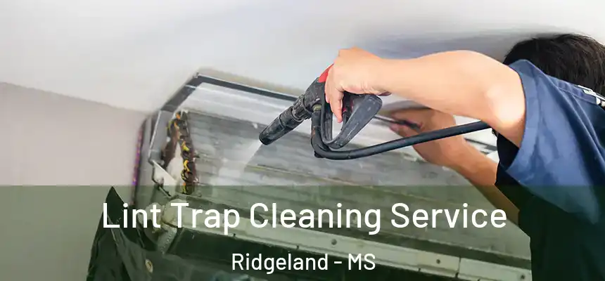  Lint Trap Cleaning Service Ridgeland - MS
