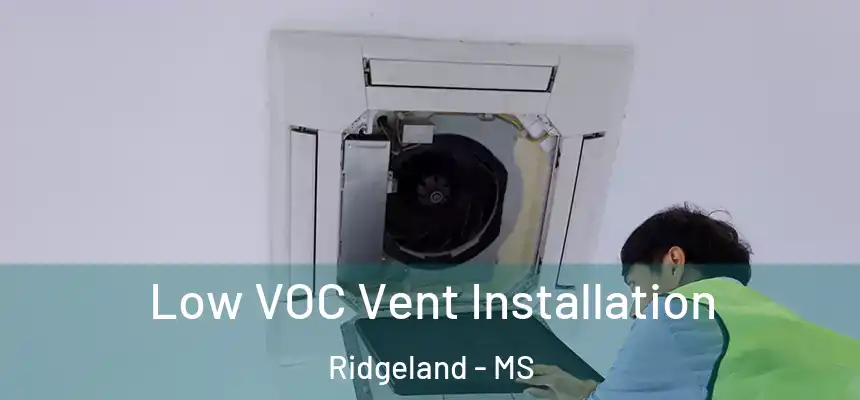  Low VOC Vent Installation Ridgeland - MS