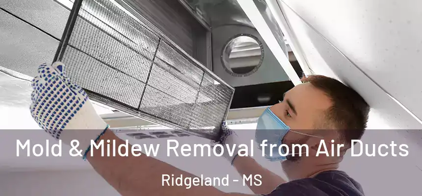  Mold & Mildew Removal from Air Ducts Ridgeland - MS