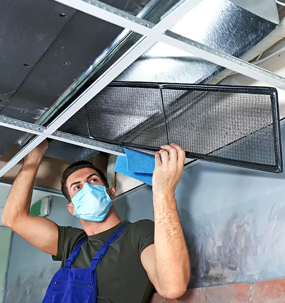 About Air Duct Bacteria Removal in Ridgeland