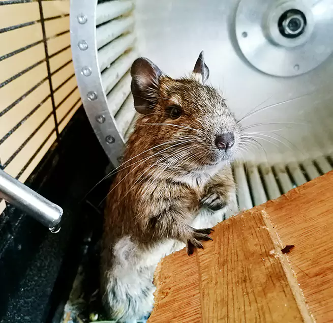 Why Homeowners & Businesses Trust Us Ridgeland, MS