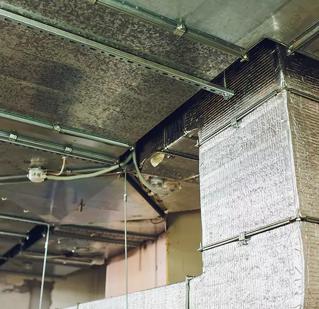 Why Homeowners & Businesses Trust Us in Ridgeland, MS?