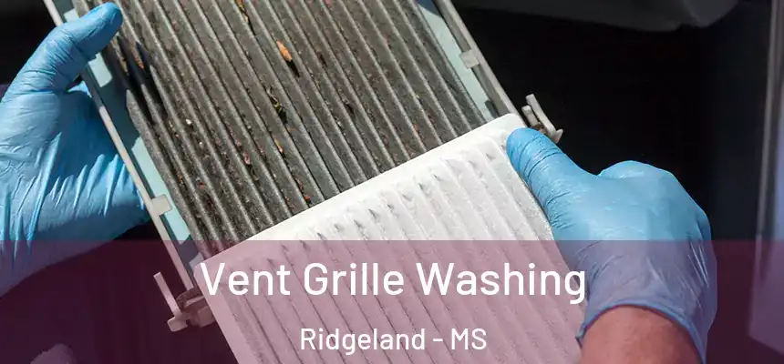 Vent Grille Washing Ridgeland - MS