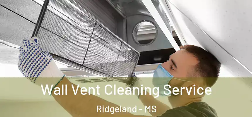 Wall Vent Cleaning Service Ridgeland - MS